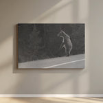 “Crossing” Echoes of Color Series