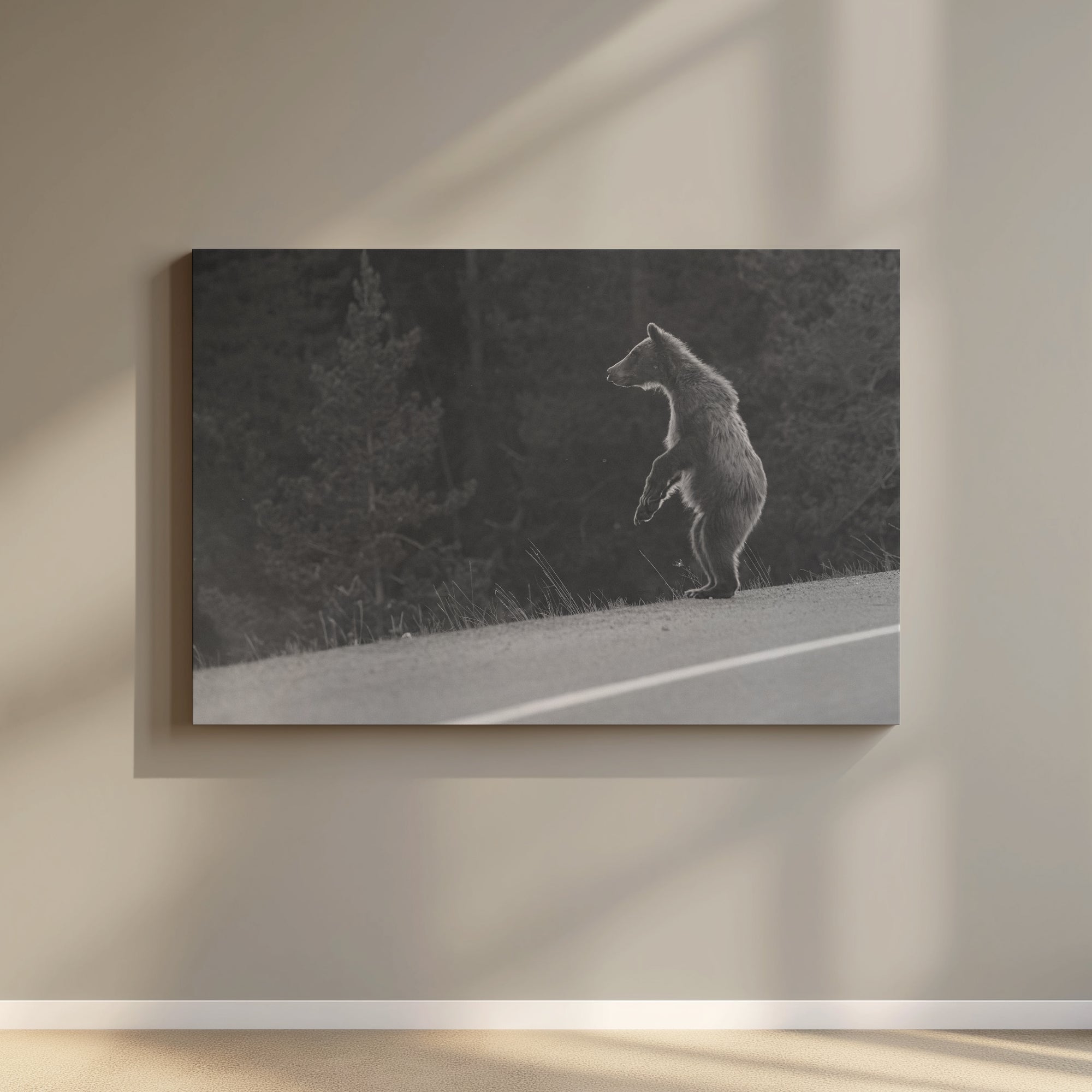 “Crossing” Echoes of Color Series