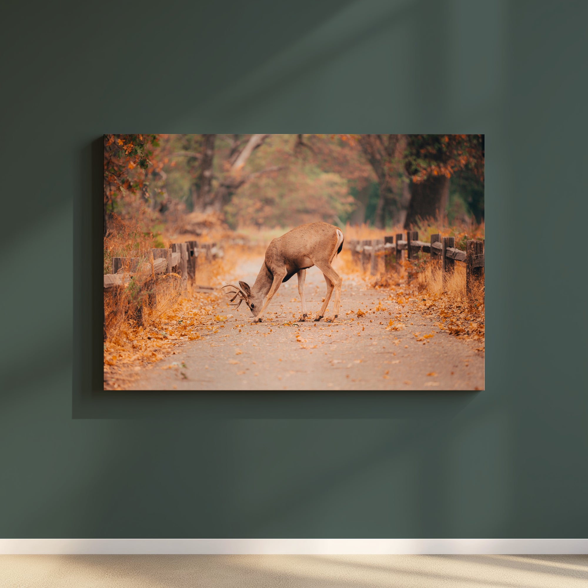“Watcher in the Pines” Echoes of Color Series