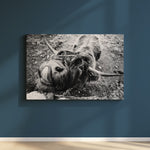 “The Guardian” Black & White Highland Cow Print