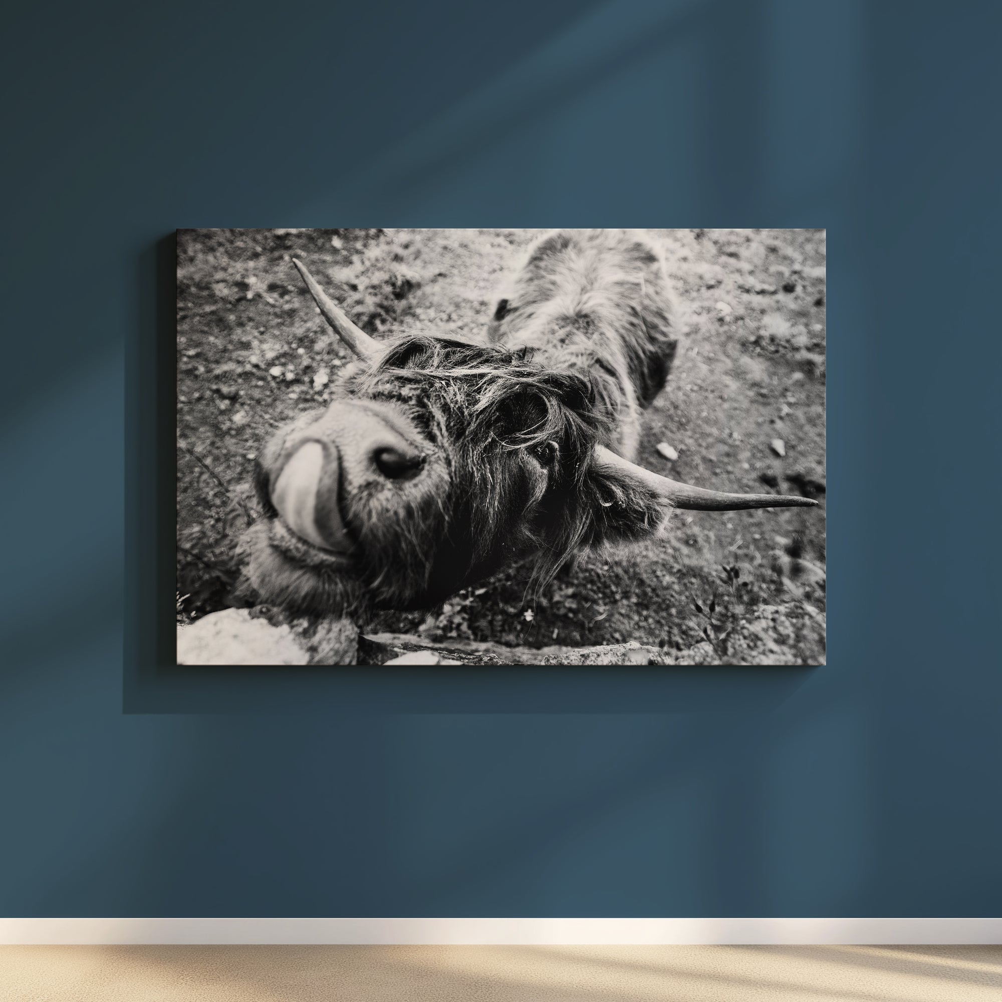 “The Guardian” Black & White Highland Cow Print