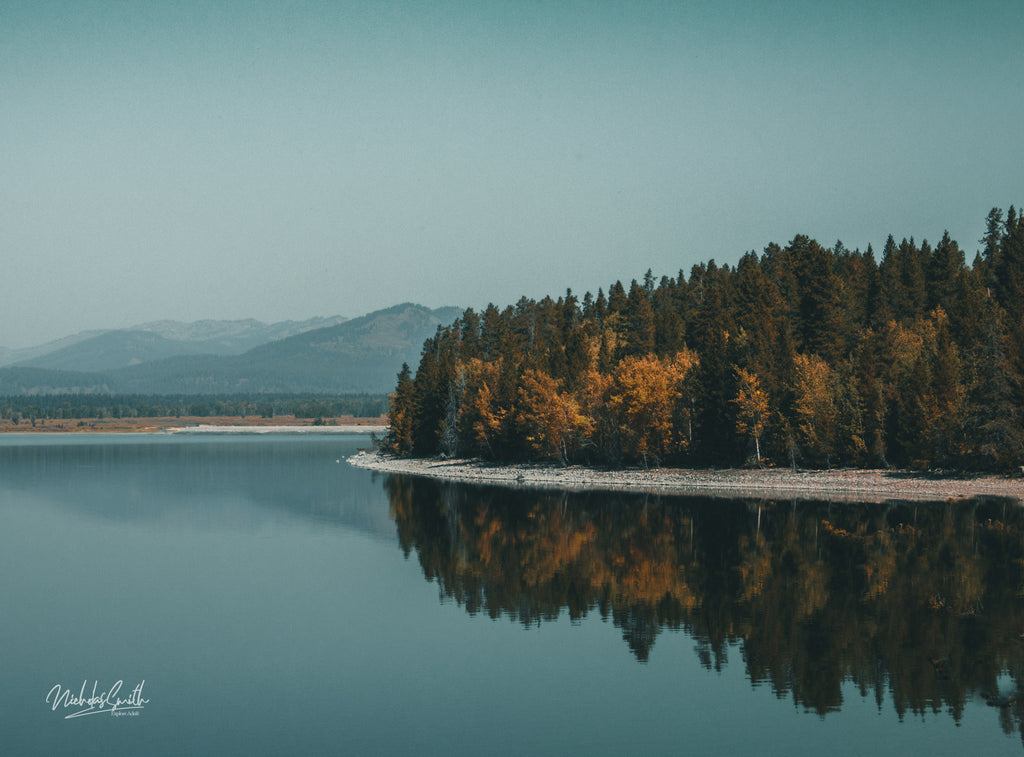 Reflections