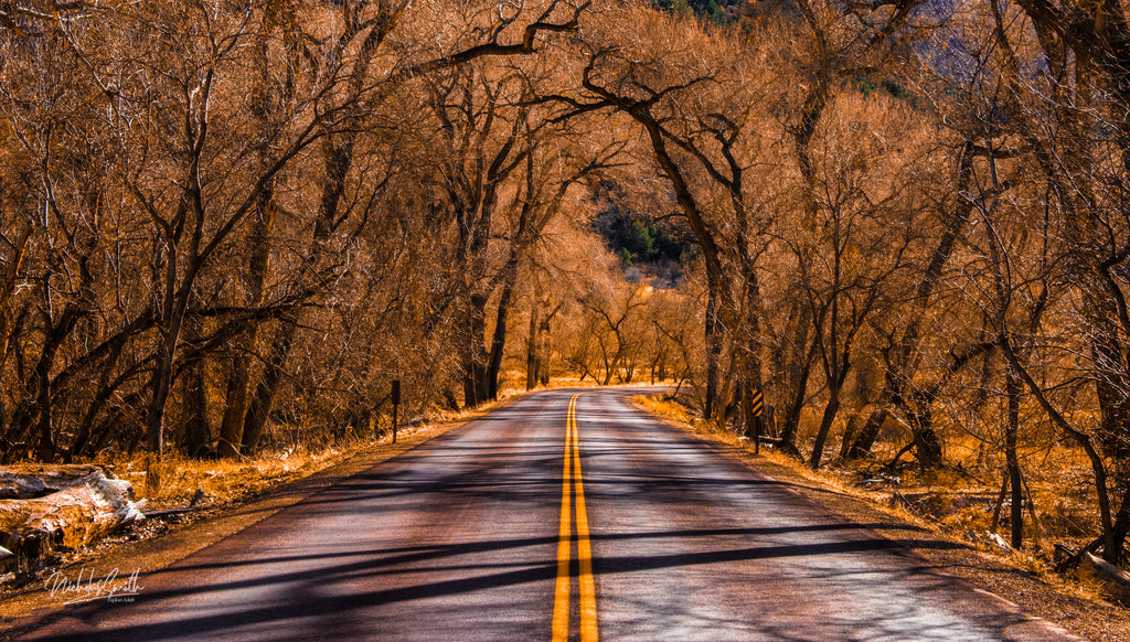 Fall Zion Road