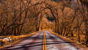 Fall Zion Road